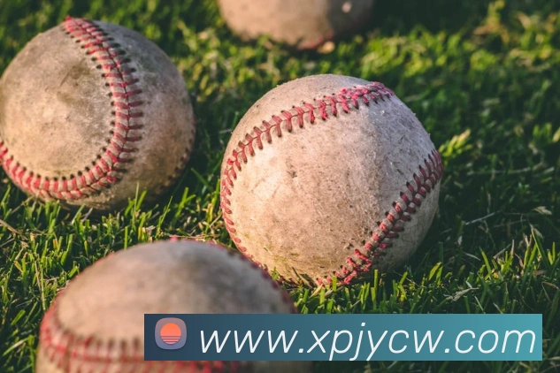 新葡京娱乐城平台生态图