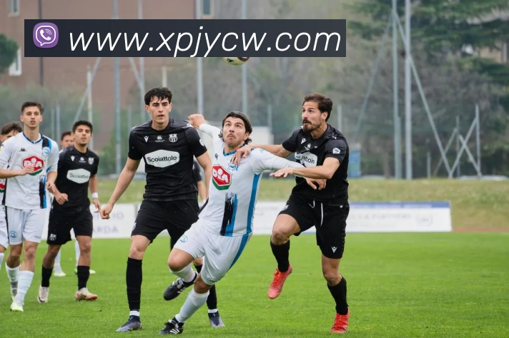 新葡京娱乐城全站App